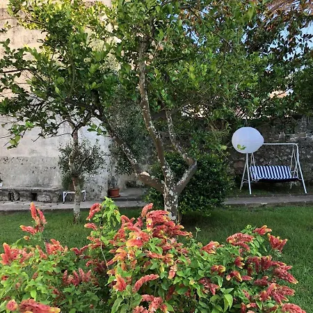 Margherita Giuggianello